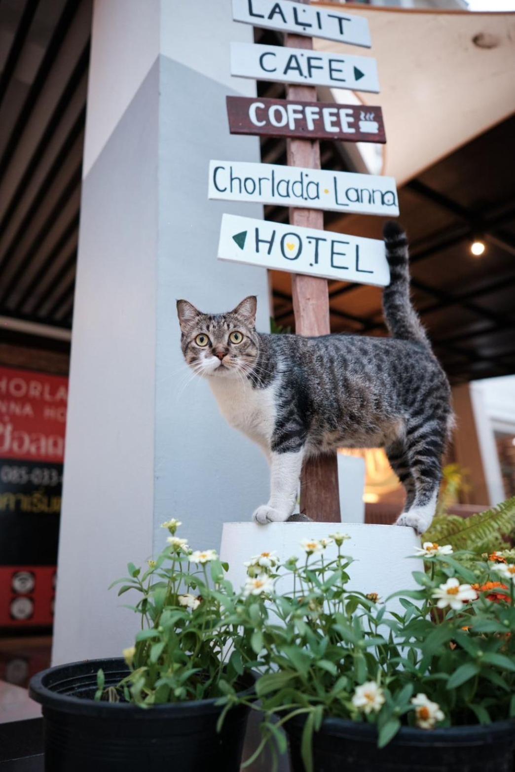 Chorlada Lanna Hotel Τσιάνγκ Μάι Εξωτερικό φωτογραφία